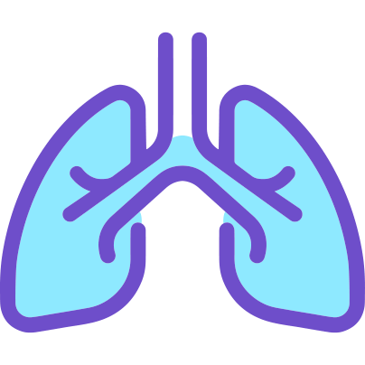 Light blue and purple icon illustrating the lungs