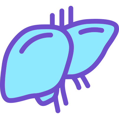 Light blue and purple icon showing the liver
