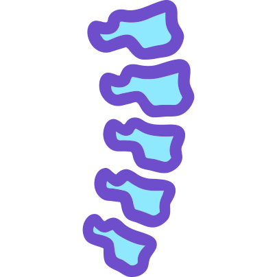 Light blue and purple icon of a spine