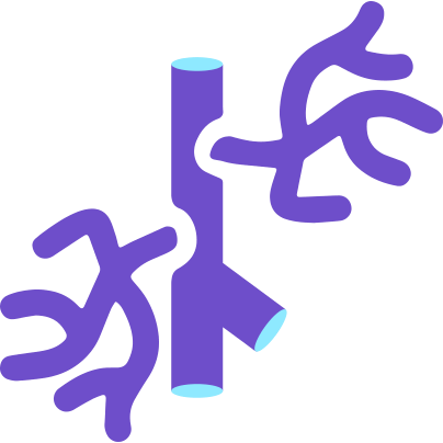 Light blue and purple icon of an artery, illustrating vascular health